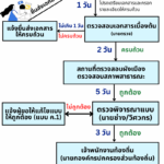 Info_ใบอนุญาต ม21 (2)