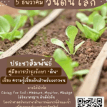 วันดินโลก